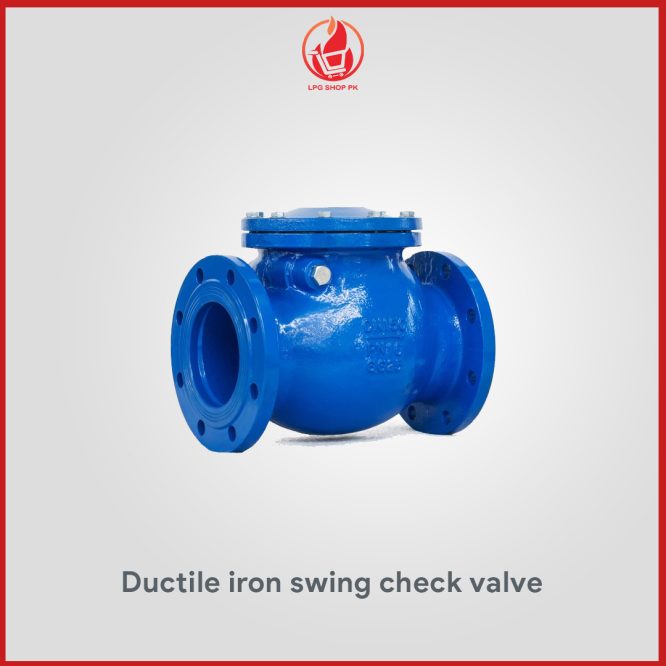 Ductile Iron Swing Check Valve