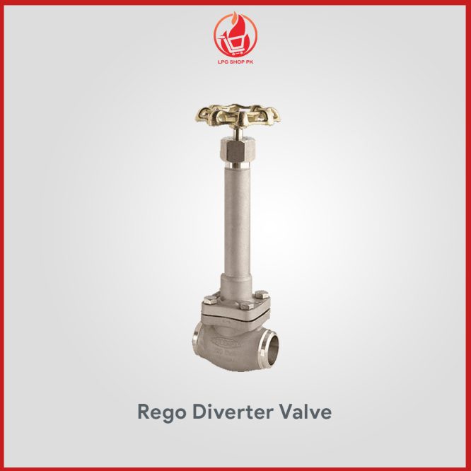 Rego Globe Valve for Cryogenic Service