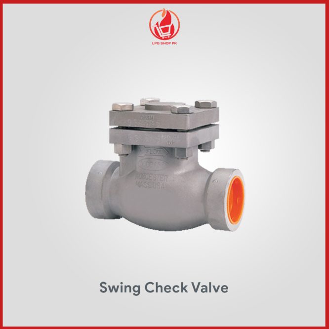 Swing Check Valve